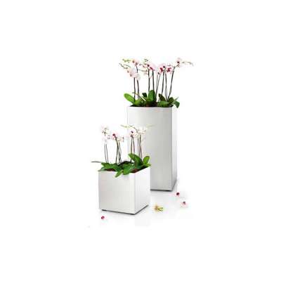 Arlau Outdoor Factory Direct Sale Stainless Square Flower Planters Giant Flower Pot