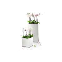 Arlau Outdoor Factory Direct Sale Stainless Square Flower Planters Giant Flower Pot